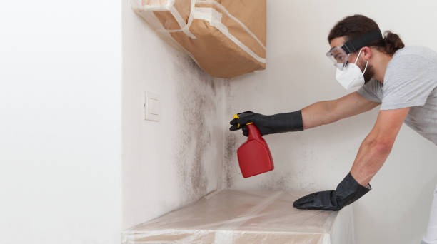 Professional Mold Removal technician working in Ashland, OR