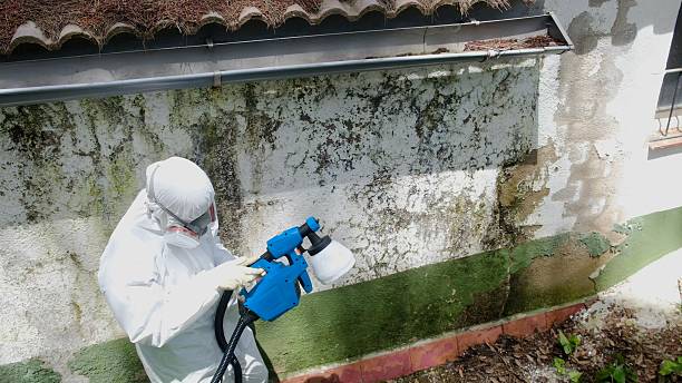 Top rated local Mold Remediation specialists in Ashland, OR
